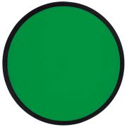 Frisbee