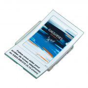 monetera surfer2