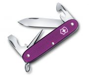 Pioneer Alox Limited Edition 2016