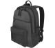 Standard backpack 2
