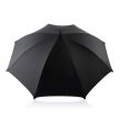 Parasol 23