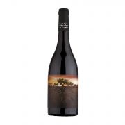 Garnacha Olvidada Aragon - wino czerwone wytrawne