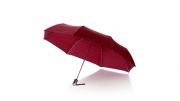 Parasol automatyczny 21.5"