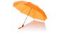 Parasol 20