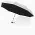 Parasol 21