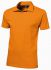 Polo Akron