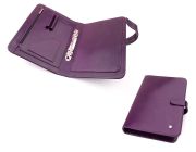 152B-1 portfolio