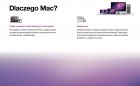 magnes2